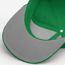 Load image into Gallery viewer, Programmed Lives Matter | Pro Style Snapback (Kelly Green)